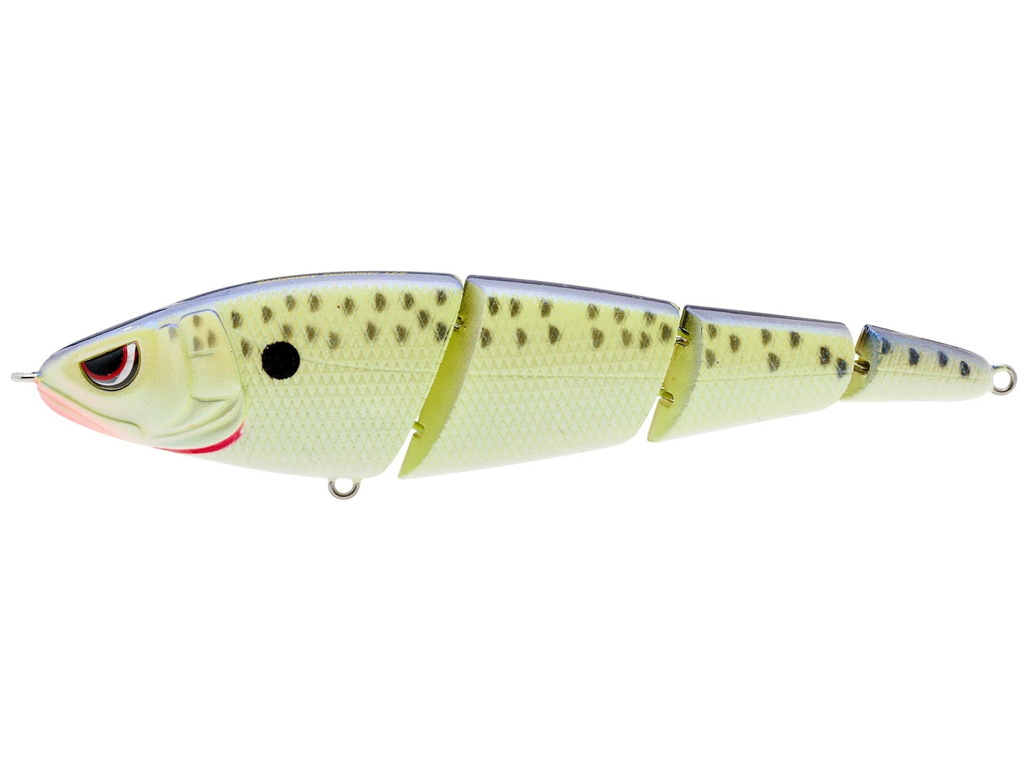 Spro KGB Sashimmy Swimmer 105 Cell Mate 4in