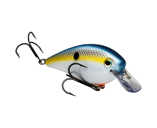 Strike King KVD 2.5 Square Bill Crankbait Sexy Shad