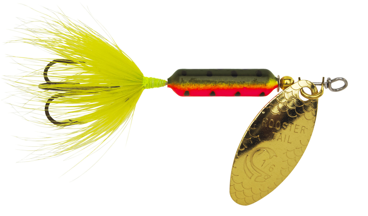 Worden's Rooster Tail Fire Tiger 1/6oz