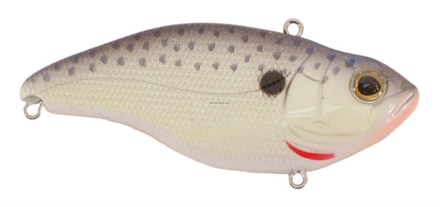 Spro Aruku Shad 75 Cell Mate 5/8oz