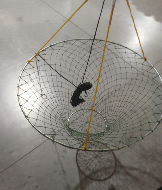 FJ Neil Bridge Net