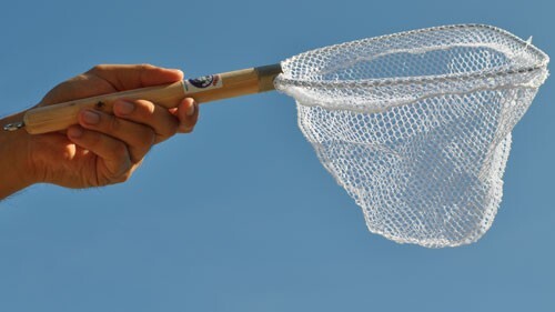 Lee Fisher Dip Net Model LN-JF10