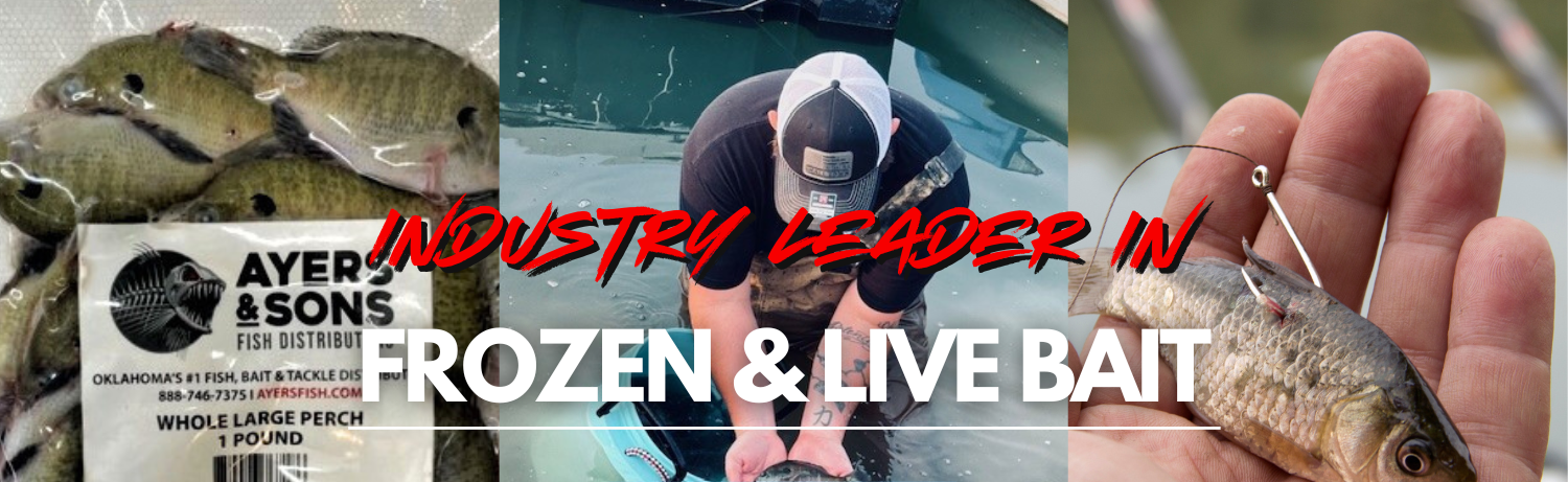ayers-and-sons-fish-bait-distributors-website-banner