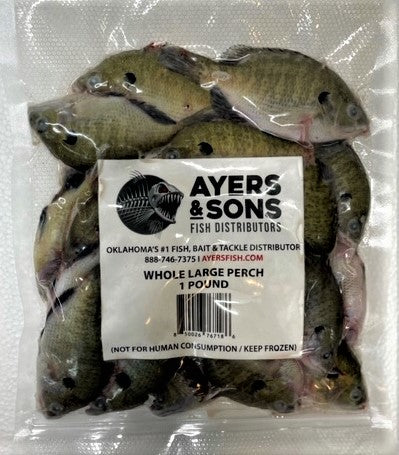 Large Perch 3"+ 1 Pound Packs (Case of 5 Packs) + FREE OVERNIGHT SHIPPING