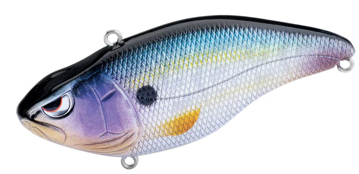 Spro Aruku Shad 60 Magic Shad 3/8oz
