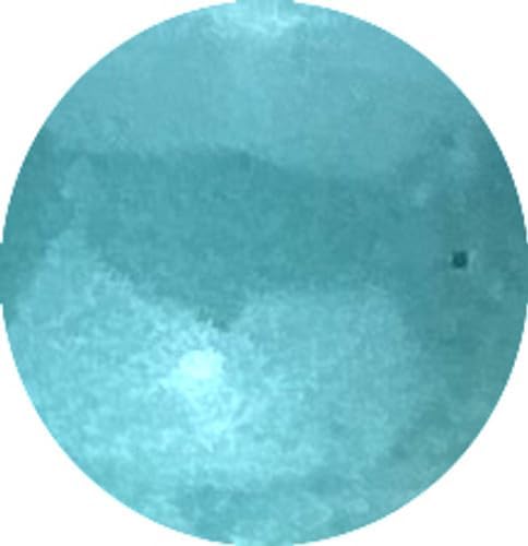 Pro-Tec 2oz Powder Paint Robins Egg Blue