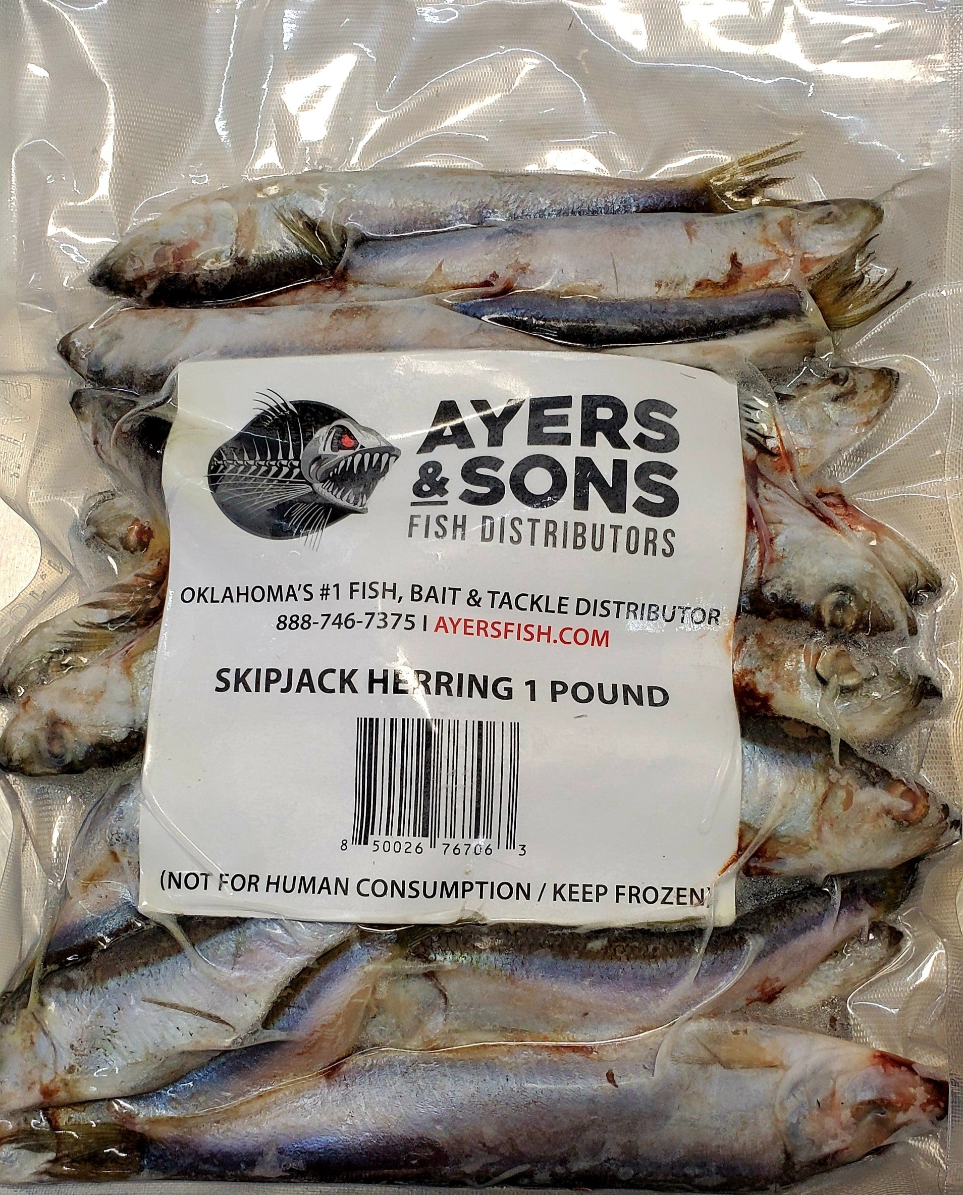 Skipjack Herring 4-6 1 Pound Packages (Case of 10 Packages) +