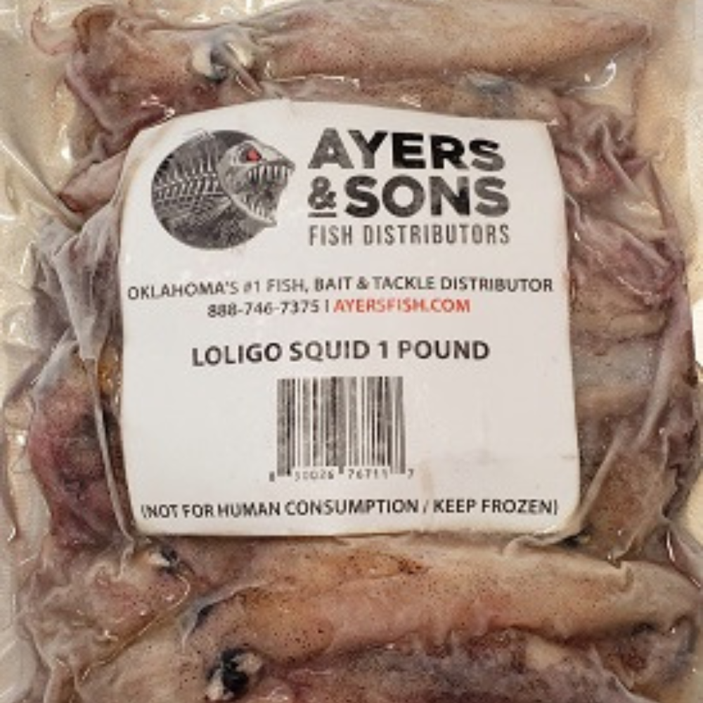 Loligo Squid 1 Pound Packs (Case of 10 Packages / Price Includes Expedited Shipping)