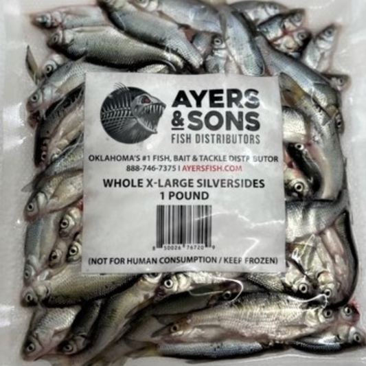 XL Silversides 3"+ 1 Pound Packs