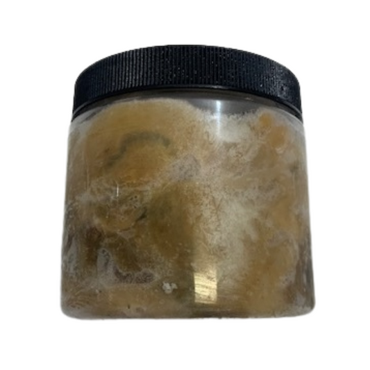 Mussel Meat 16oz Jar