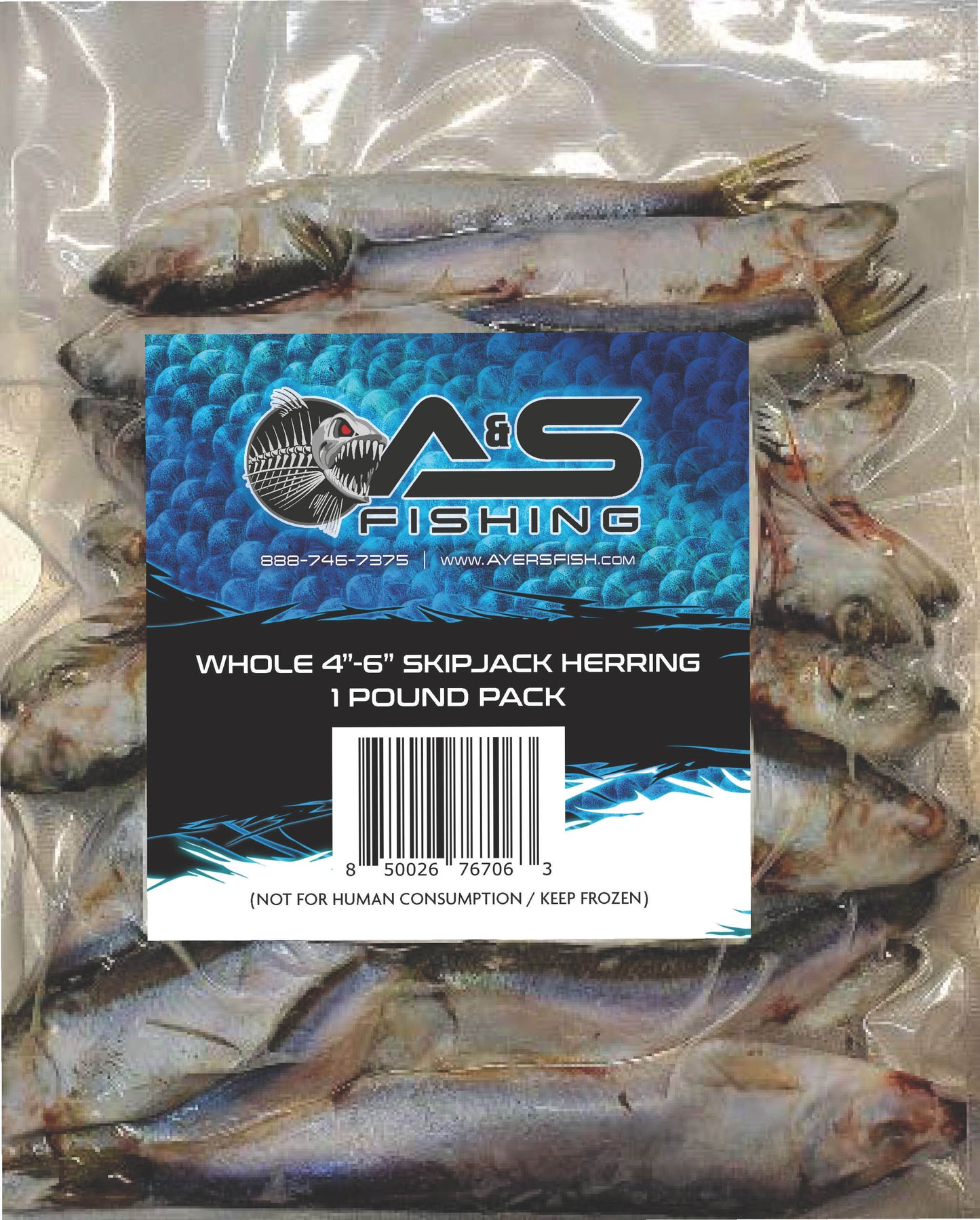 A&S Frozen Whole Skipjack 4"-6" 1 Pound Pack
