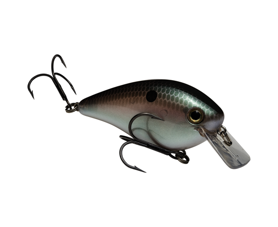 Strike King KVD 2.5 Square Bill Crankbait Green Gizzard Shad