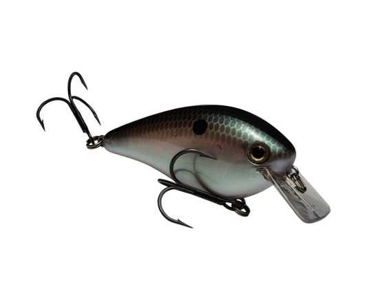 Strike King KVD 2.5 Square Bill Crankbait Green Gizzard Shad