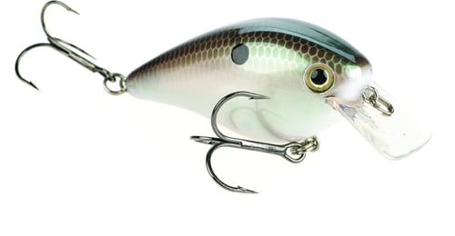 Strike King KVD 2.5 Grn Gizzard Shad