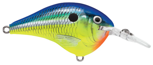 Rapala Dives-To 6 Parrot