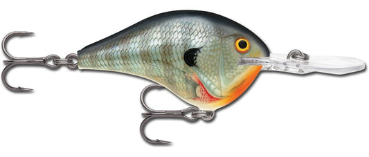 Rapala Dives-To 16 Bluegill