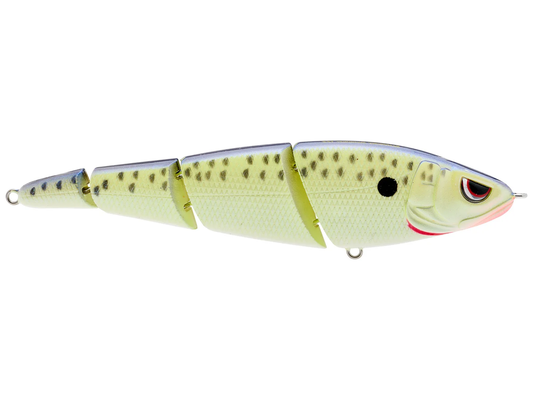 Spro Sashimmy Swimmer 125 Cell Mate