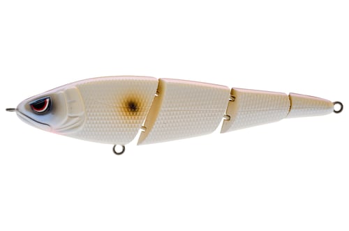 Spro KGB Sashimmy Swimmer 105 Pearl Shad 4in