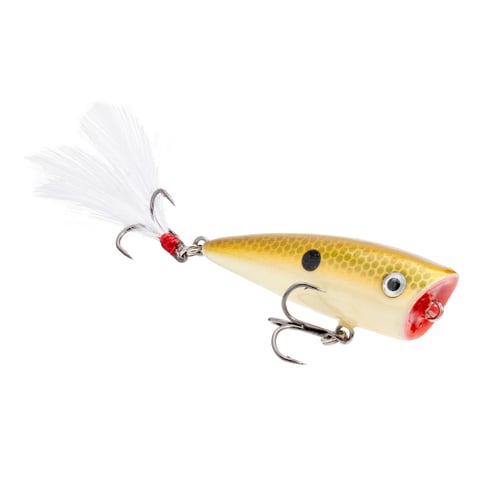 Strike King Bitsy Splash Topwater Lure Tennessee Shad