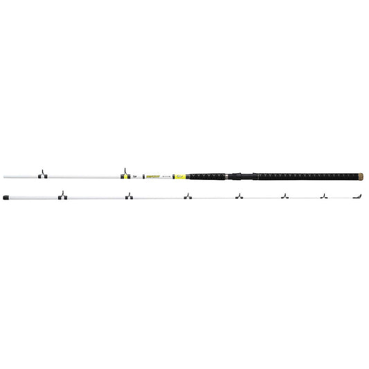 Daiwa Beef Kitty Catfish Spinning Rod BFK1002MHRS