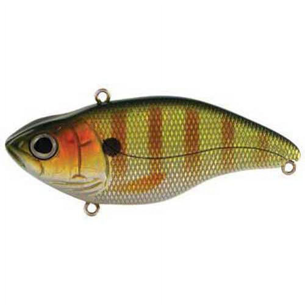 Spro Aruku Shad 60 Perch 3/8oz