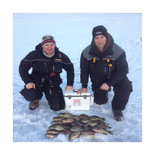 Engel 19qt Bait Cooler ENGLBC19-N White