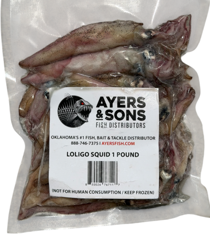 A&S Frozen Whole Loligo Squid 1 Pound Pack
