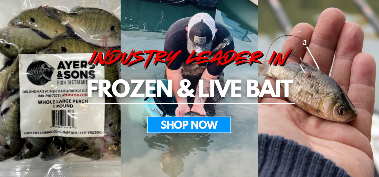 ayers-and-sons-fish-bait-distributors-website-banner