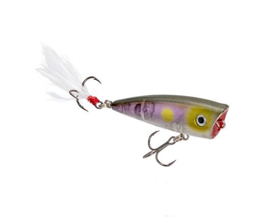 Strike King Bitsy Splash Topwater Lure Clearwater Minnow