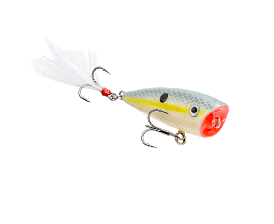 Strike King Bitsy Splash Topwater Lure Sexy Shad