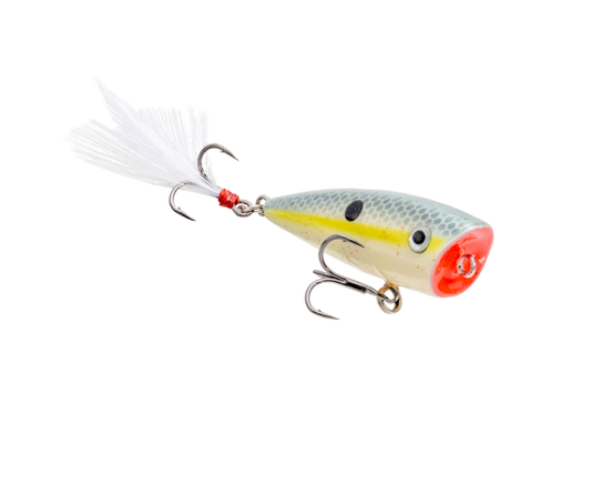 Strike King Bitsy Splash Topwater Lure Sexy Shad