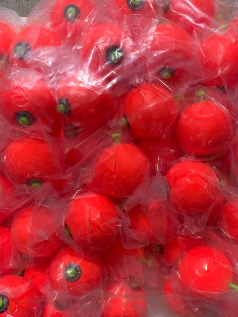 Comal 2" Weighted Snap-On Round Floats 50 Pack Assorted Colors FFRW200