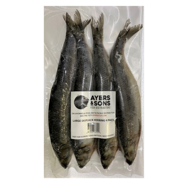 Frozen Skipjack Herring | Large | 4 Per Pack - Case of 4 Packs – Ayers Fish