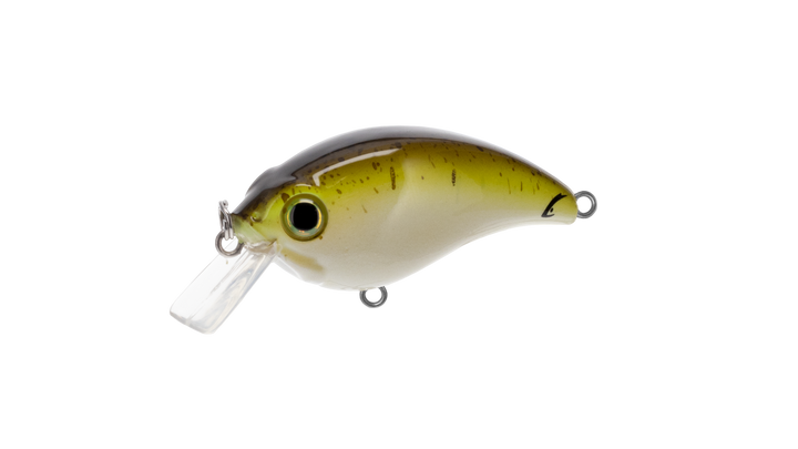 Bill Lewis ATV Squarebill Crankbait