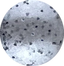 Pro-Tec 2oz Powder Paint Pearl Pepper