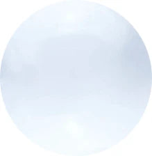 Pro-Tec 2oz Powder Paint White