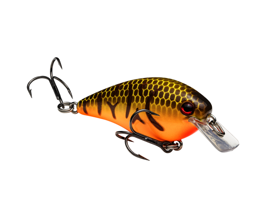 Strike King KVD Square Bill 1.0 Crankbait Brown Orange Belly Craw