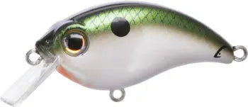 Bill Lewis ATV Squarebill Crankbait