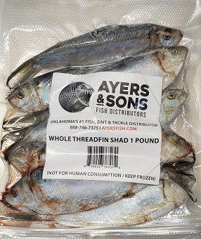 A&S Threadfin Shad 6"-8" 1 Pound Vacuum Sealed Zipper Bag / 8 or 12 Count Case with Expedited Shipping