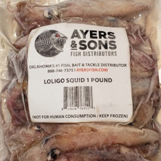 Frozen Loligo Squid