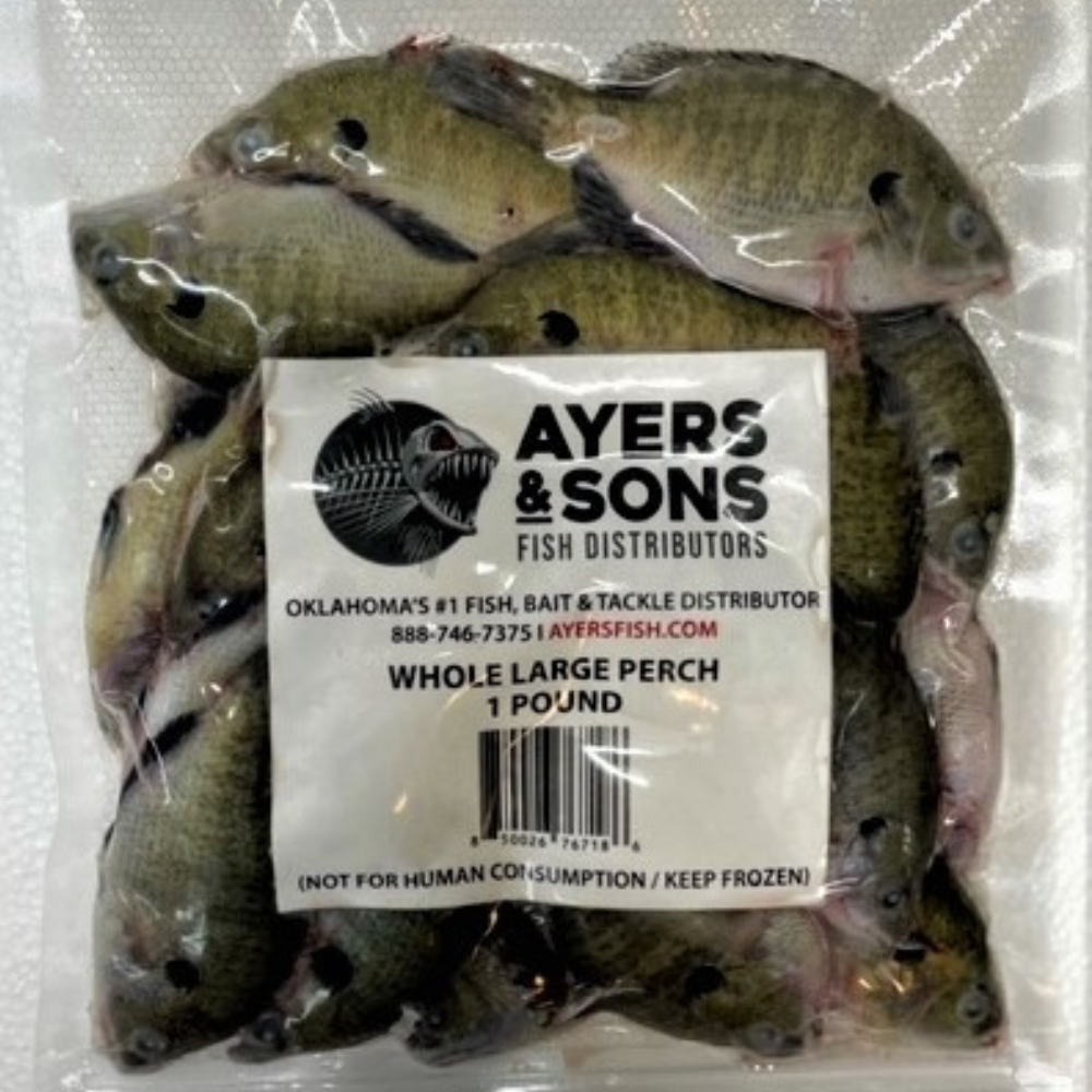 Frozen Perch | High-Quality Frozen Fishing Bait – Ayers Fish