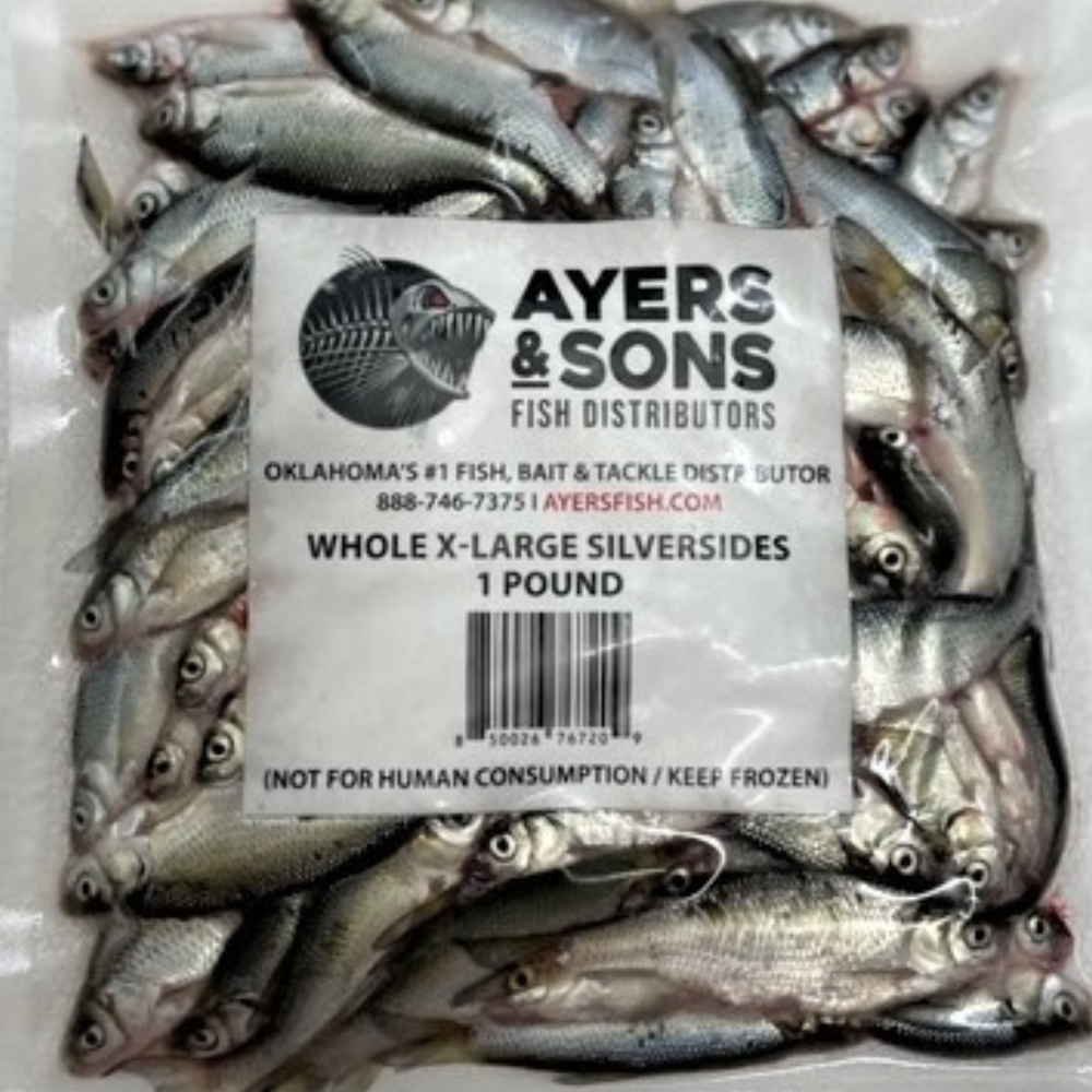 Frozen Silversides | Premium Frozen Fishing Bait – Ayers Fish