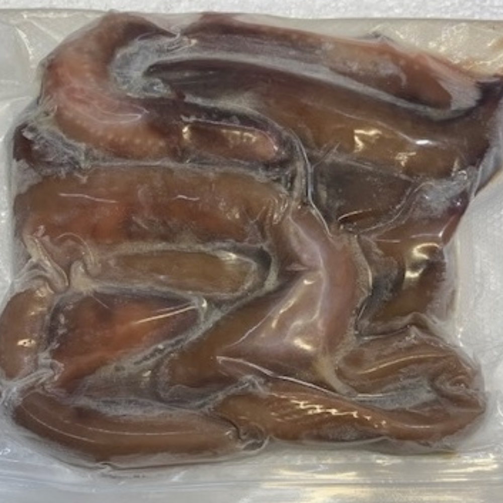 Frozen Eel